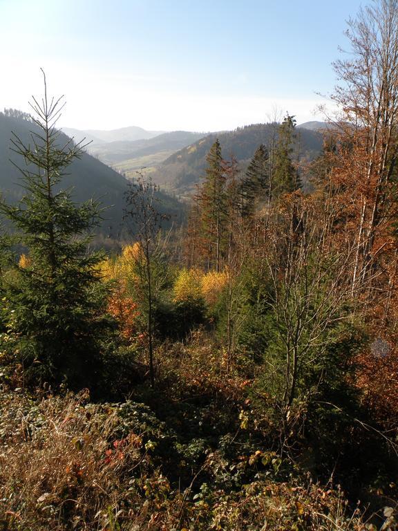 Salamandra Village Kozevo Экстерьер фото